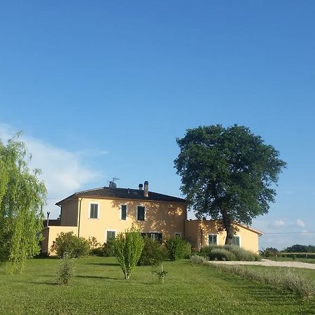B&B Le Rose Spello Εξωτερικό φωτογραφία