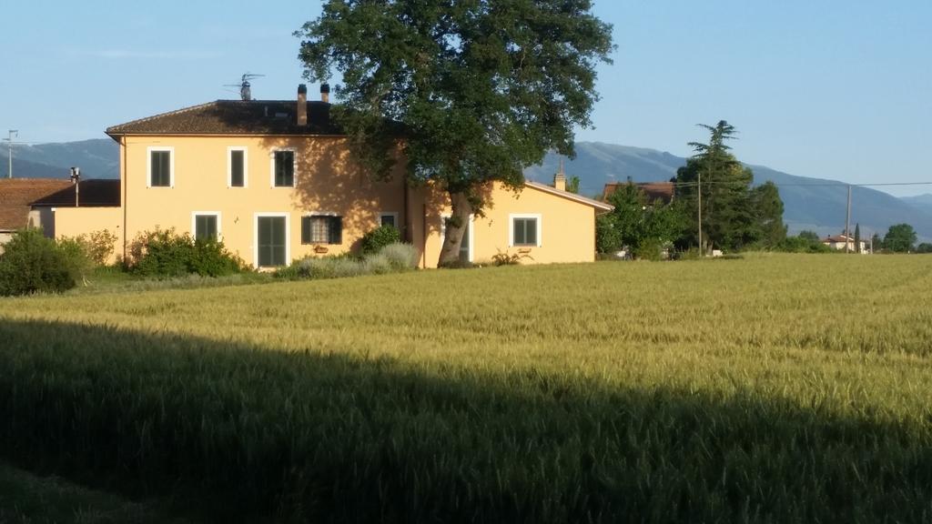 B&B Le Rose Spello Εξωτερικό φωτογραφία
