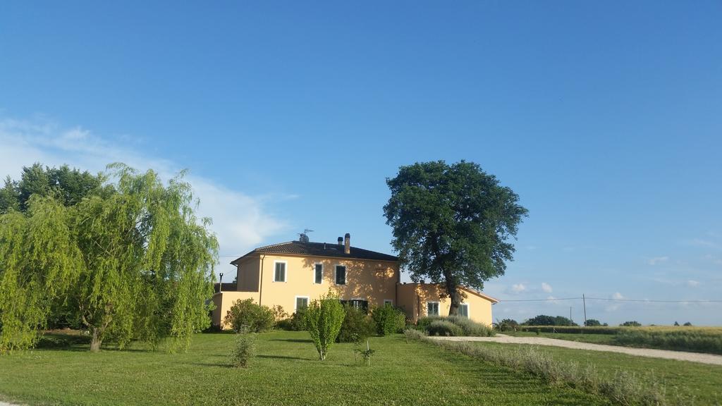 B&B Le Rose Spello Εξωτερικό φωτογραφία